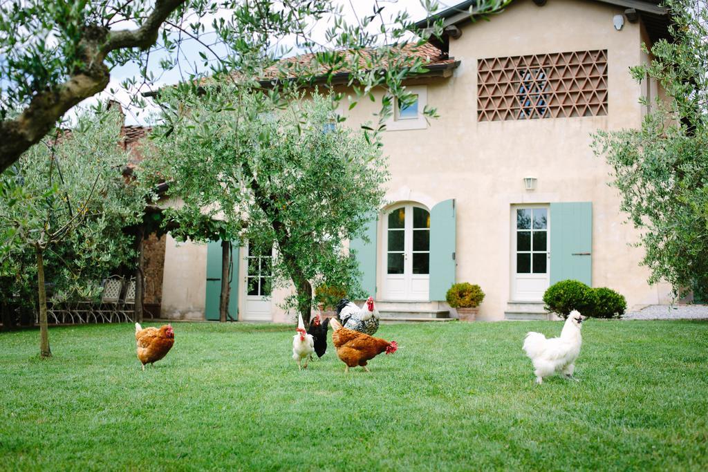 Agriturismo Mareli Villa Camaiore Luaran gambar